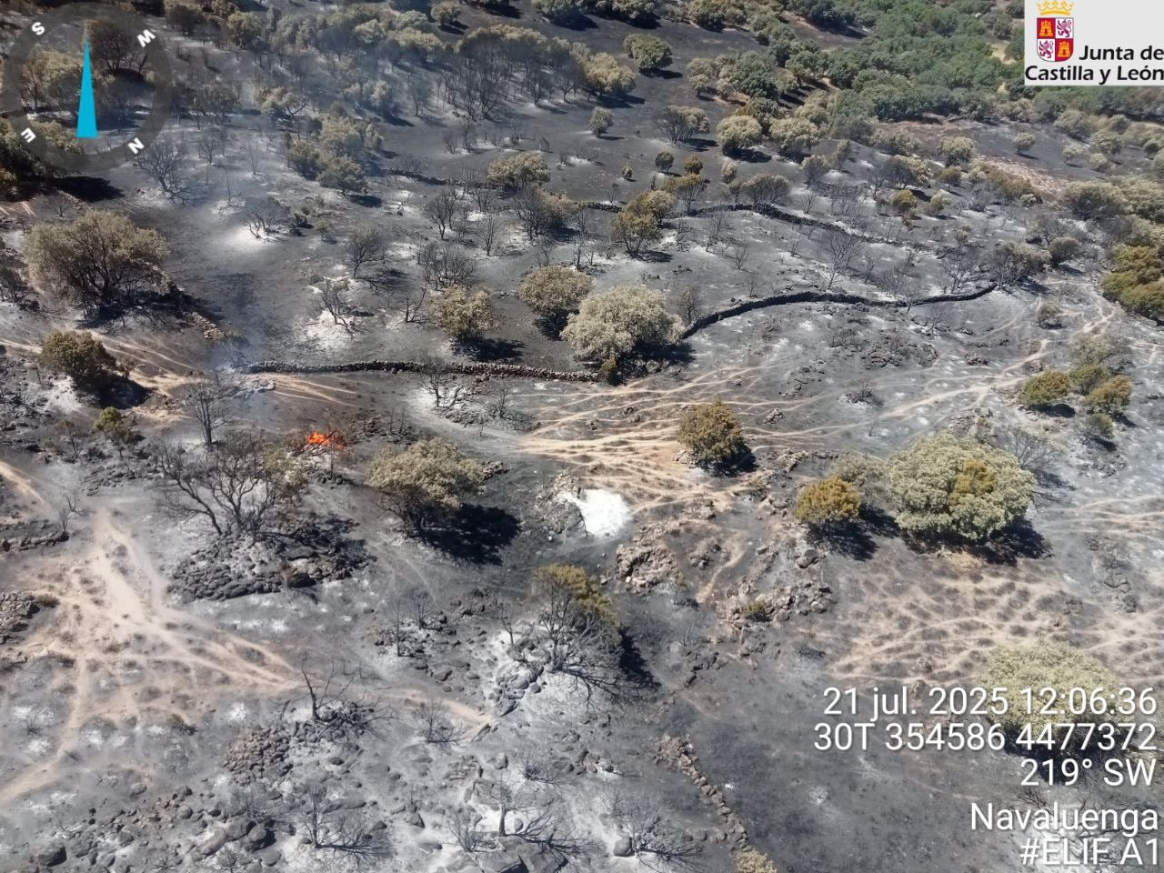 Incendio Navaluenga./Naturaleza JCyL