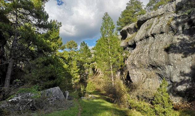 La ruta recorre espacios de gran valor paisajístico y medioambiental.