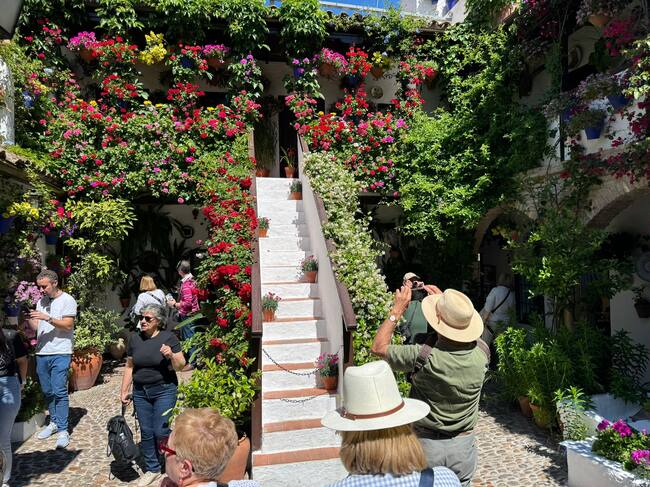 Córdoba recibe a miles de personas para visitar sus patios en flor abiertos al mundo, una fiesta declarada Patrimonio de la Humanidad