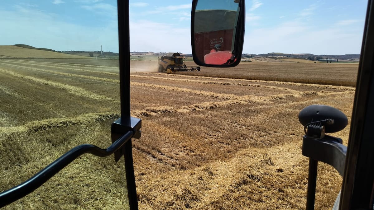 Ana Pastor (Presidenta ASAJA Soria) - ASAJA Soria muestra su rechazo a la nueva prohibición de la Junta de Castilla y León