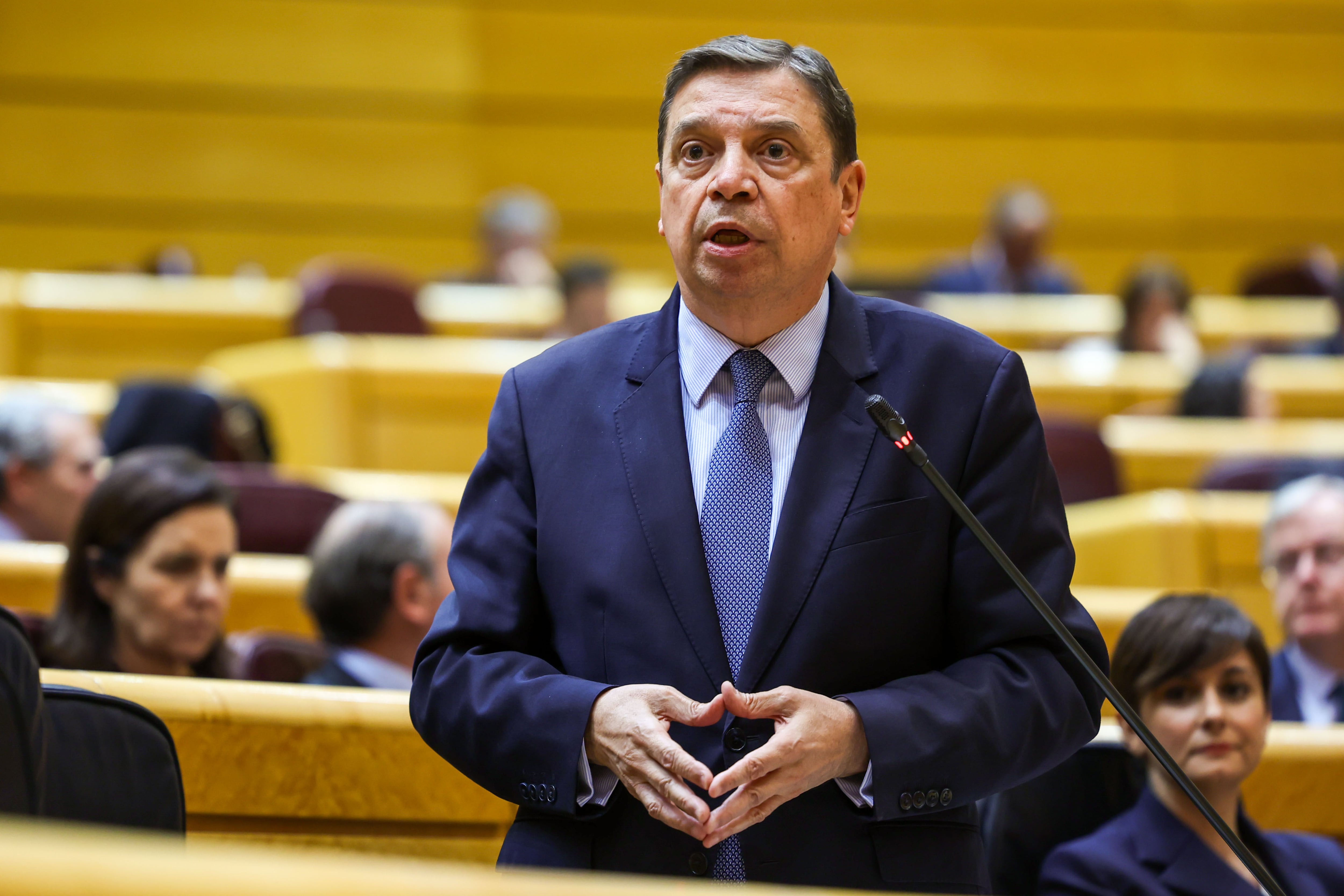 MADRID, 20/02/2024.- El ministro de Agricultura, Luis Planas, interviene durante la sesión de control al Gobierno celebrada este martes por el pleno del Senado, en Madrid. EFE/ Kiko Huesca
