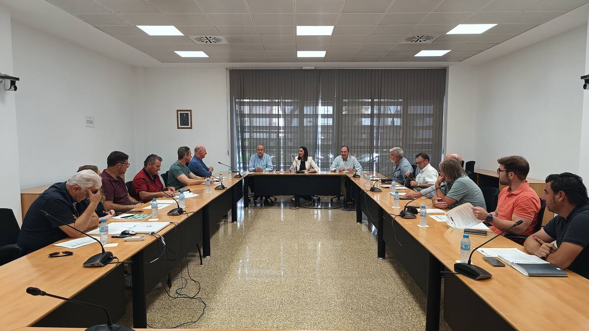 Gobierno regional y productores agrarios piden al Ministerio que sufrague los gastos por la afección del granizo