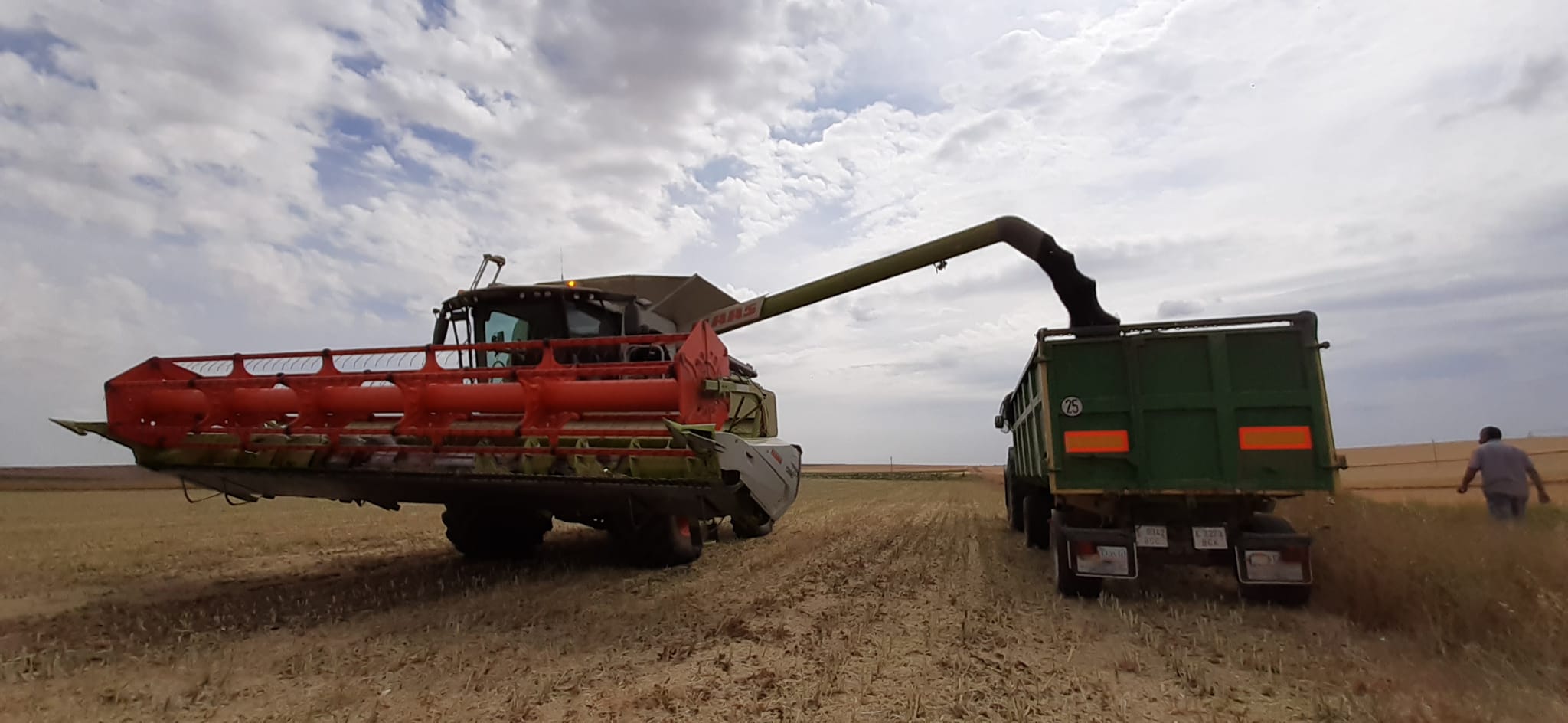 Cosechadora en plena faena agrícola en una finca de Ciudad Real