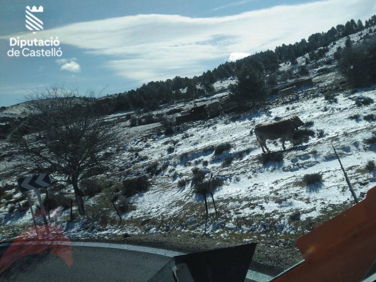 Nieve en el norte de la provincia: los bomberos retiran placas de hielo en Herbes y la Tinença de Benifassà