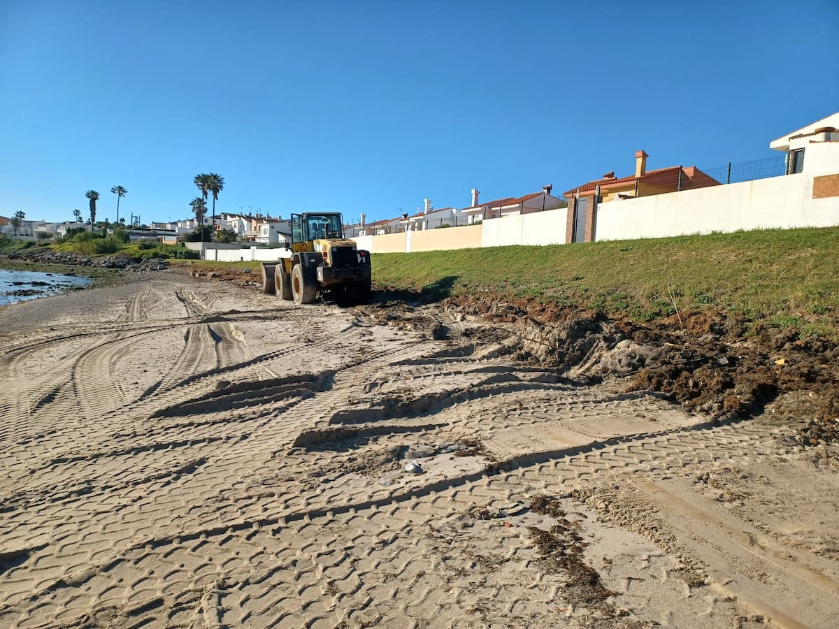 Retiran algas en la playa del Chinarral en Algeciras