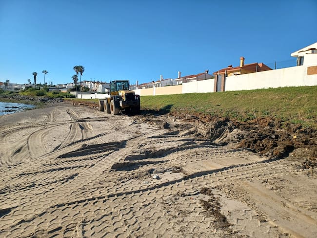 Retirada de algas en El Chinarral