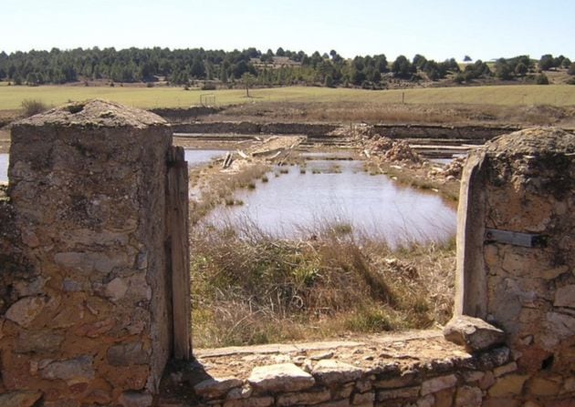 Salinas de Monteagudo.