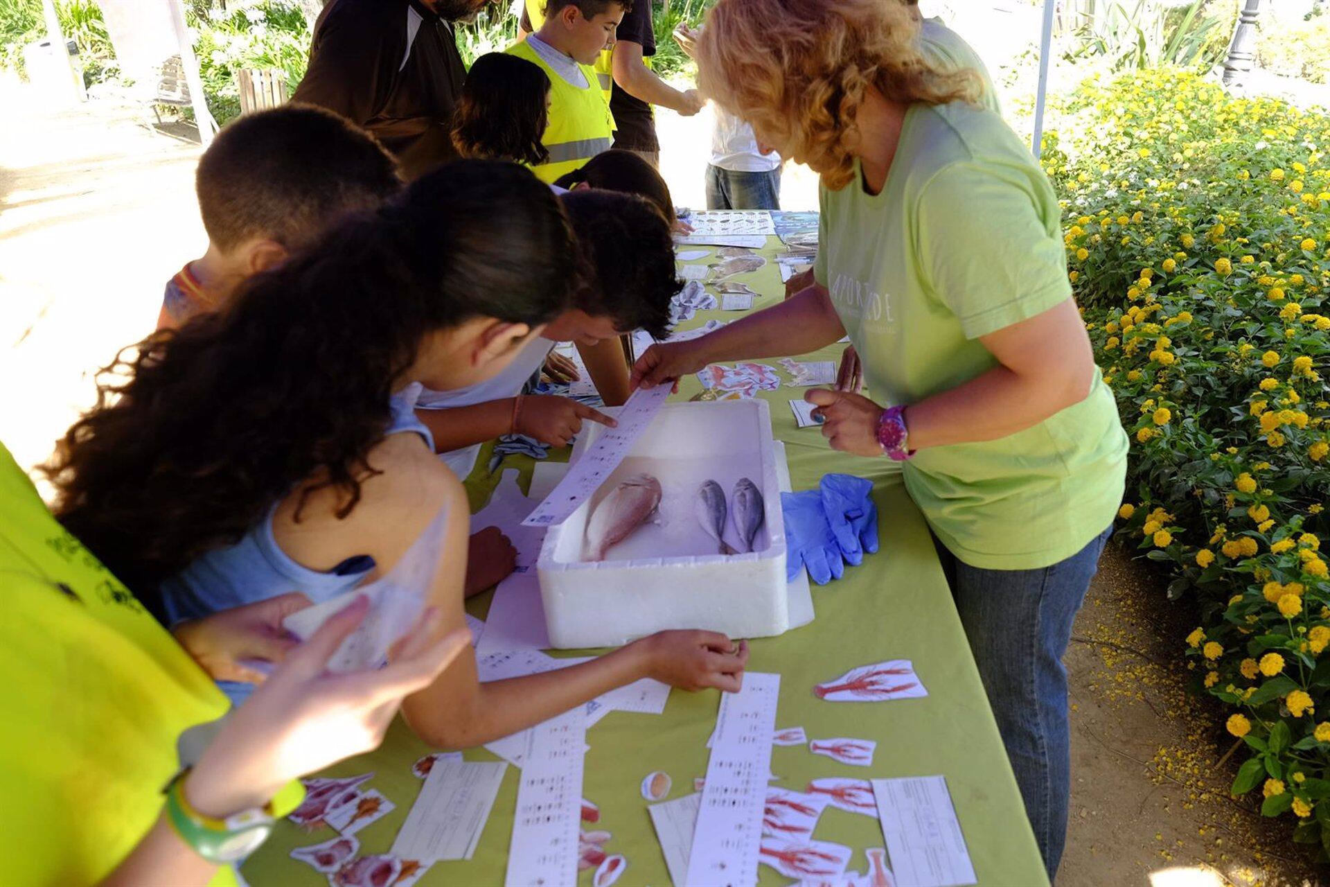 Día mundial del medio ambiente, actividad en Málaga.