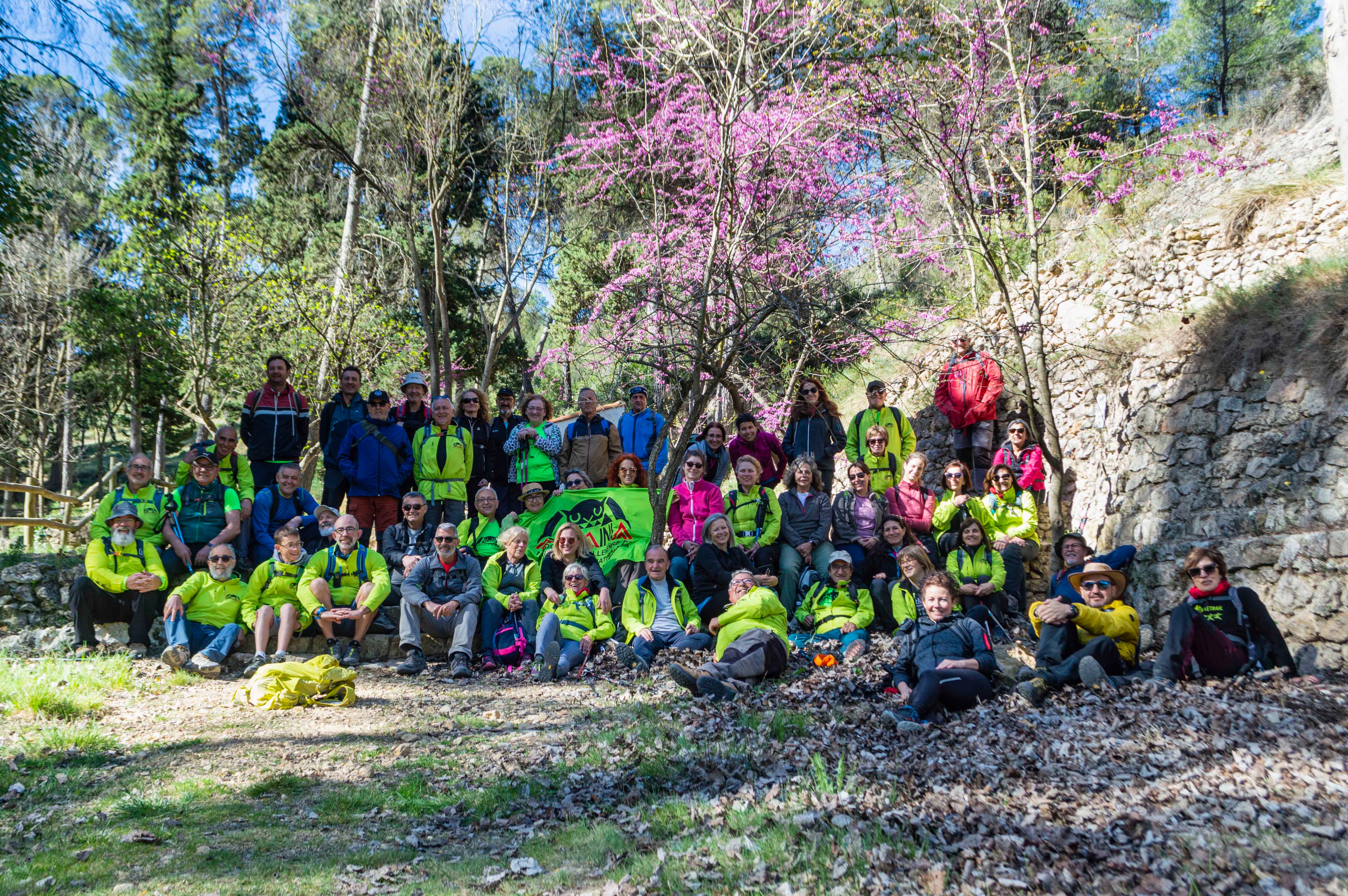 Aviana en Ontinyent