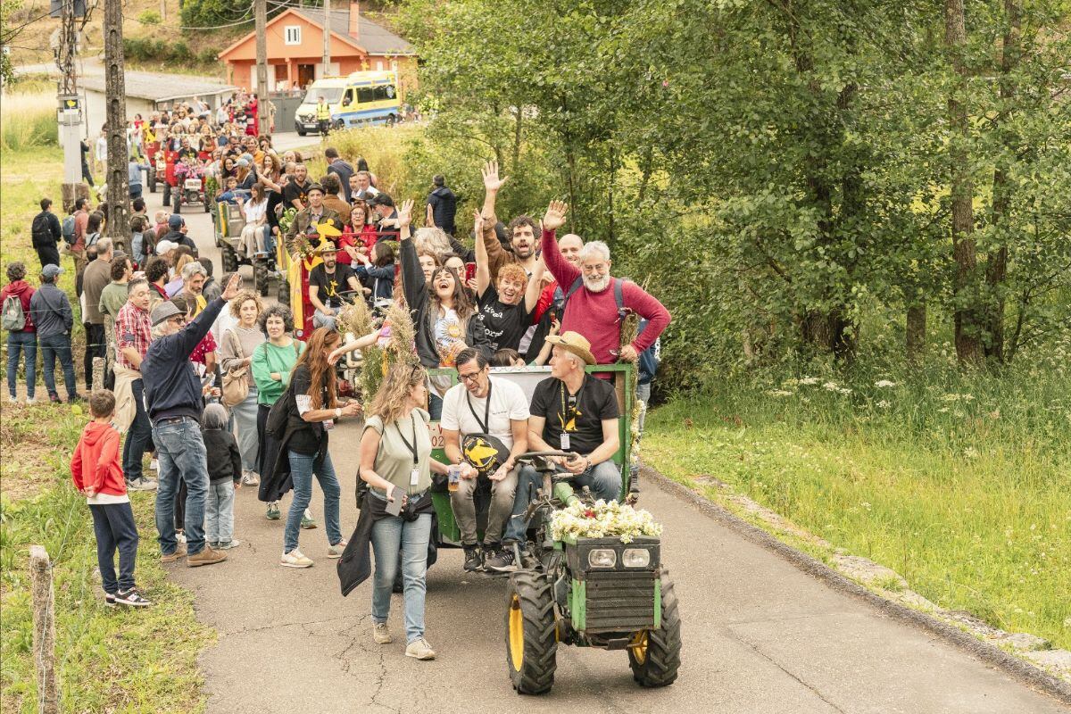 Festival de Cans