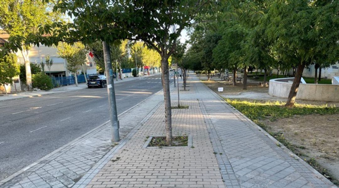 Reformas en la avenida de Andalucía