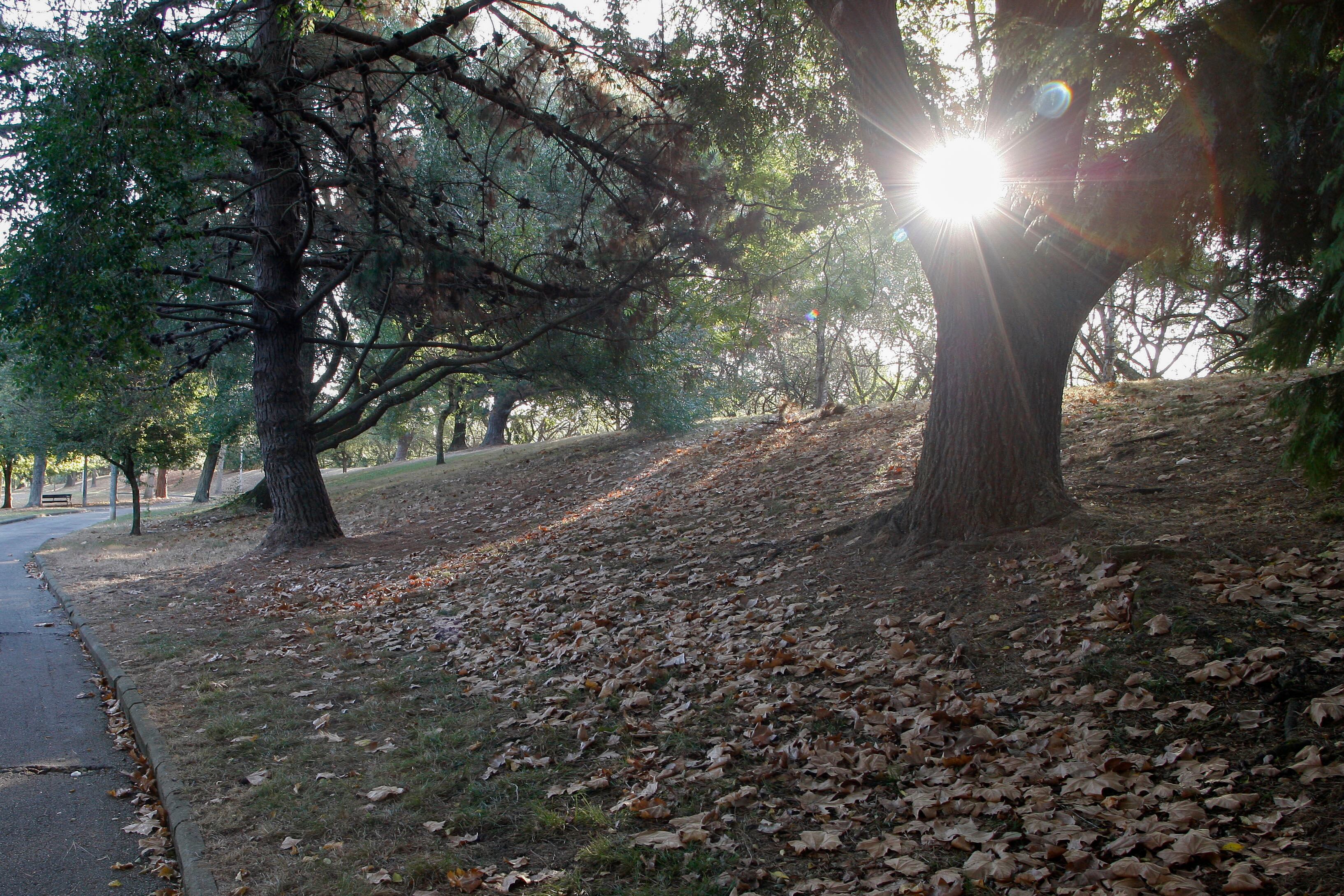 Se prevé que este otoño sea más cálido
EFE/ Juan González
