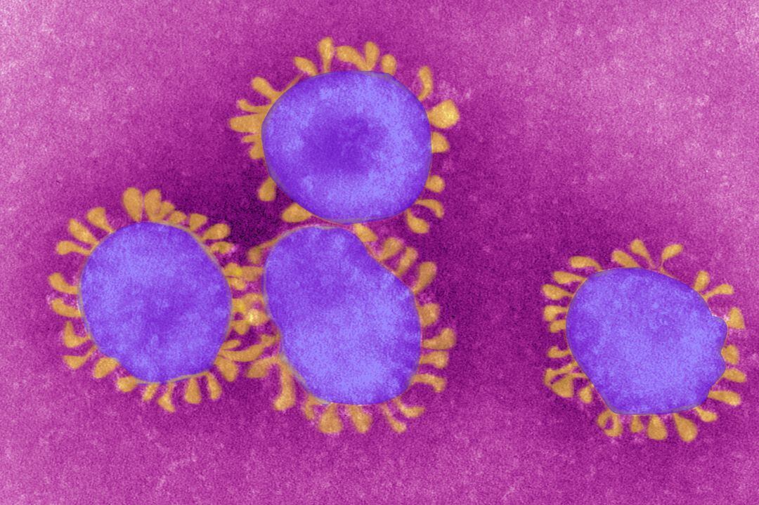 Siguen subiendo los positivos por coronavirus