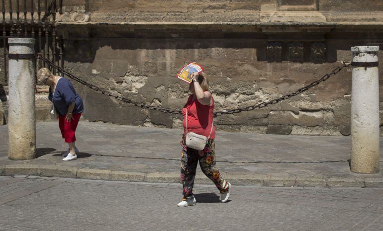 GRA195. SEVILLA, 26/06/2015.- Una turista se cubre del sol con una guía turística de la ciudad de Sevilla mientras pasea por el entorno de la Catedral de la capital hispalense hoy, viernes 26 de junio de 2015, cuando la Agencia Estatal de Meteorología ha 