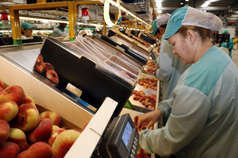 Treballadores seleccionant préssecs a la cadena de producció de la cooperativa Actel.