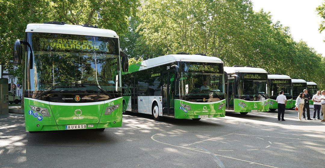 AUVASA modifica algunas de sus frecuencias en julio y agosto