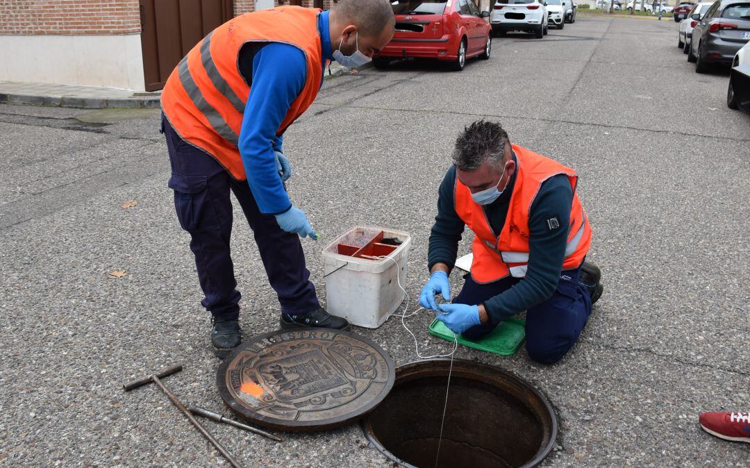 Desratización en calle Ciudad de Faenza