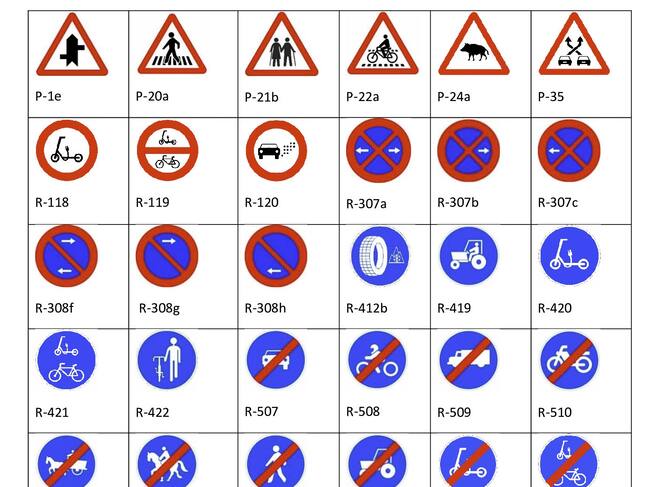 El Consejo de Ministros ha aprobado el nuevo Reglamento General de Circulación que incorpora nuevas señales adaptadas a los cambios en la movilidad, como el auge de los patinetes, con mensajes más claros y directos y mejor visibilidad, y se pone el foco en la sostenibilidad y el lenguaje visual inclusivo.