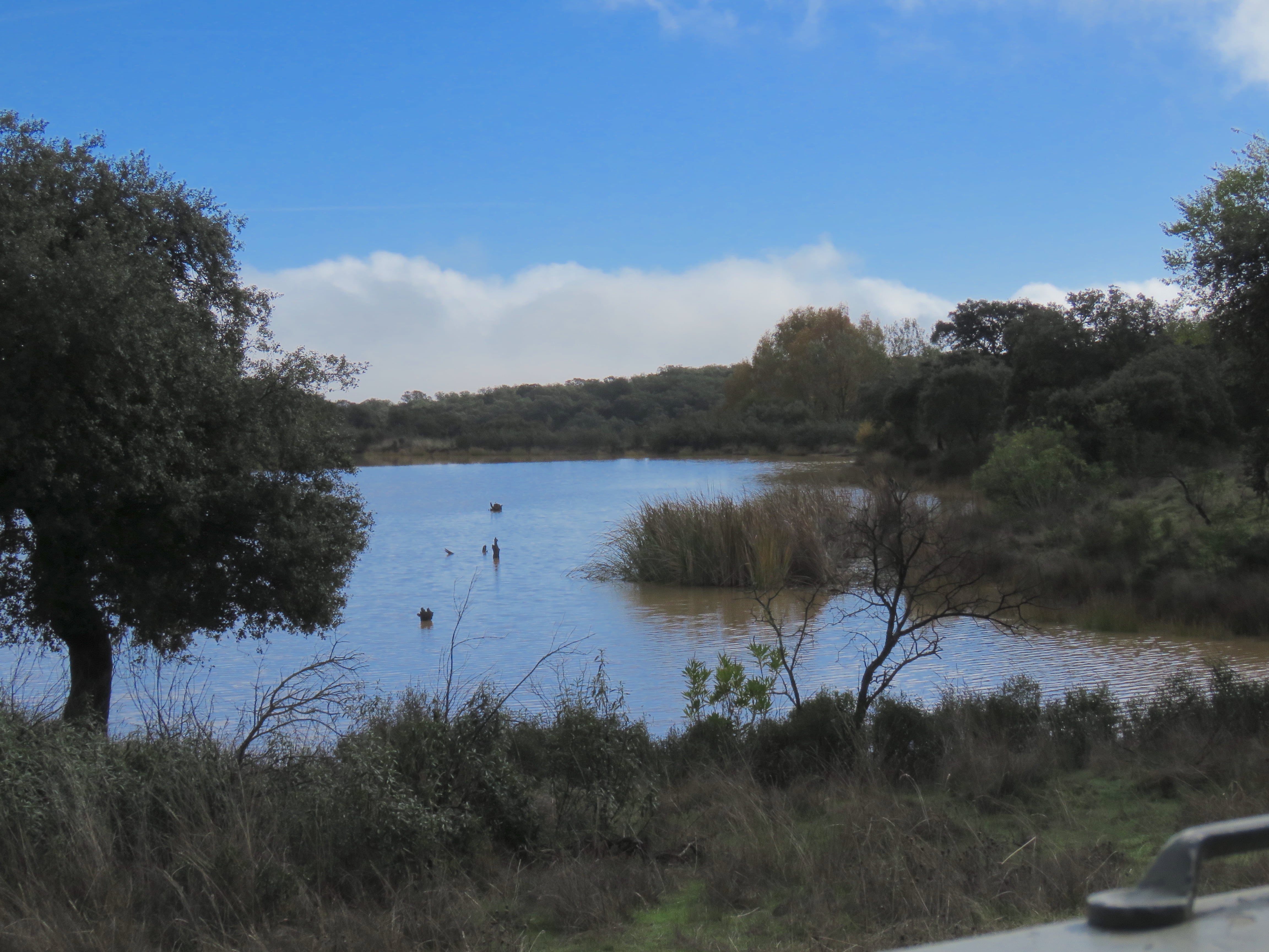 Lago interior de la Base de Cerro Muriano en el que se realizó el ejercicio en el que perdieron la vida dos militares el 21 de diciembre