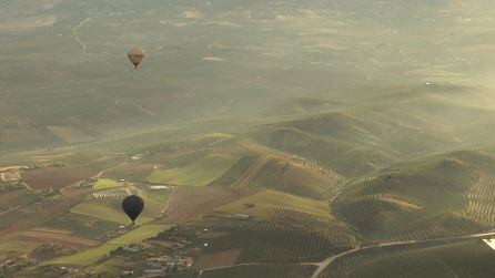 Los globos aerostáticos han sobrevolado los grandes campos de olivares de Peal de Becerro