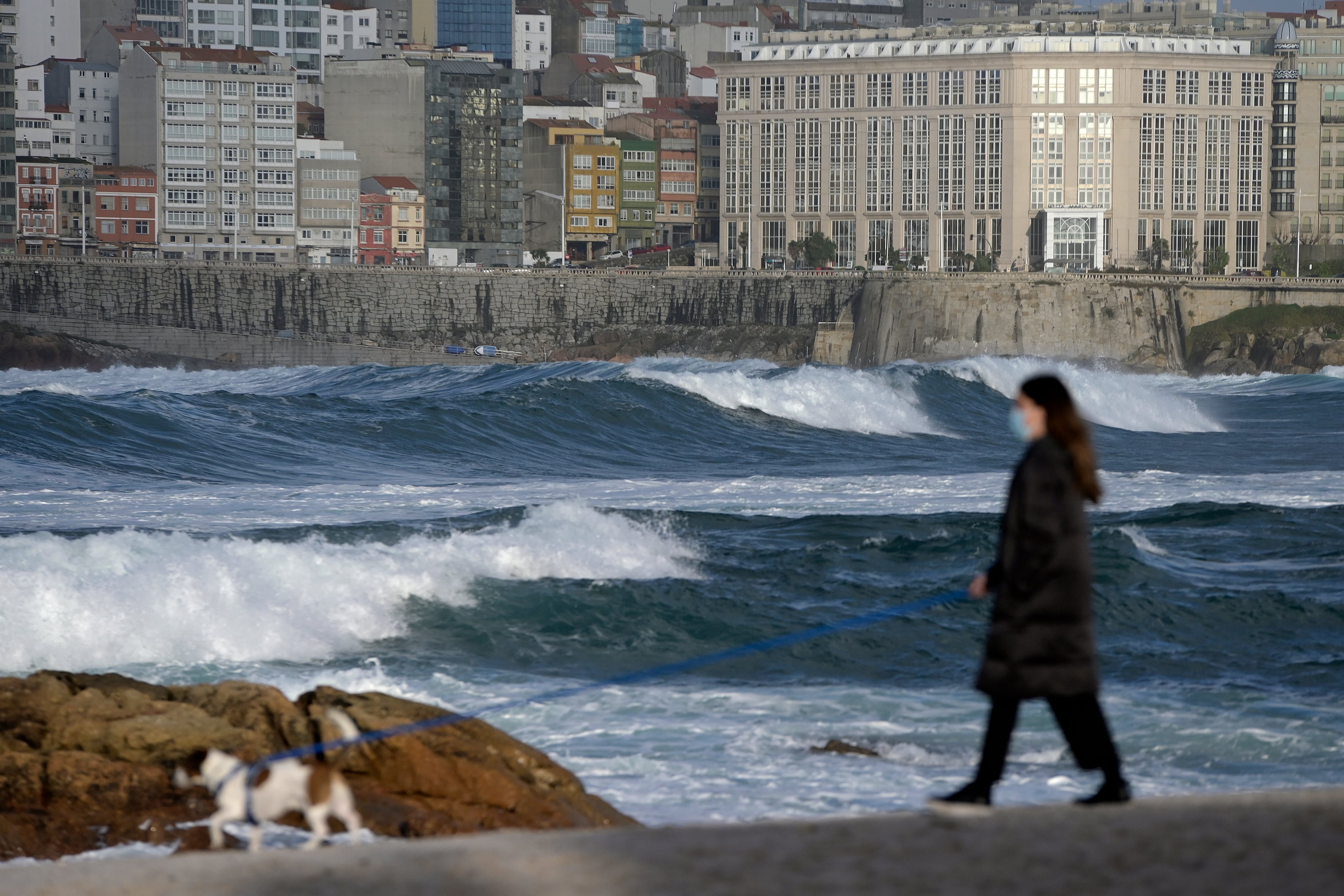 Una mujer pasea a su perro junto al mar