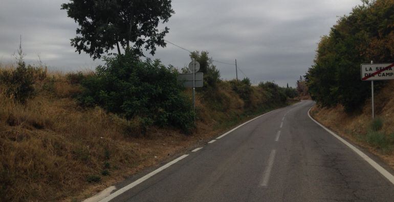 La carretera que uneix La Selva del Camp amb Almoster.