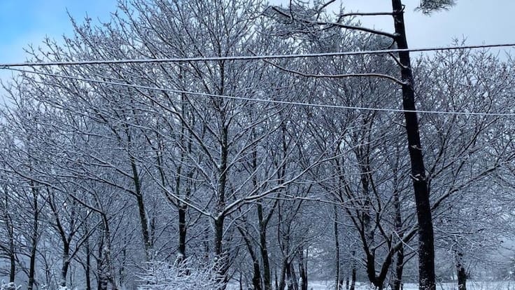 El tiempo, con Alberto Romero de Meteogalicia (8/1/2021)