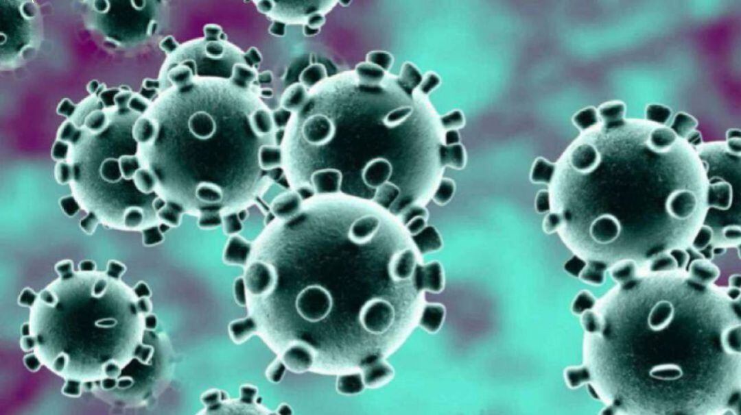 Datos sobre la evolución de la incidencia de la pandemia en Palencia