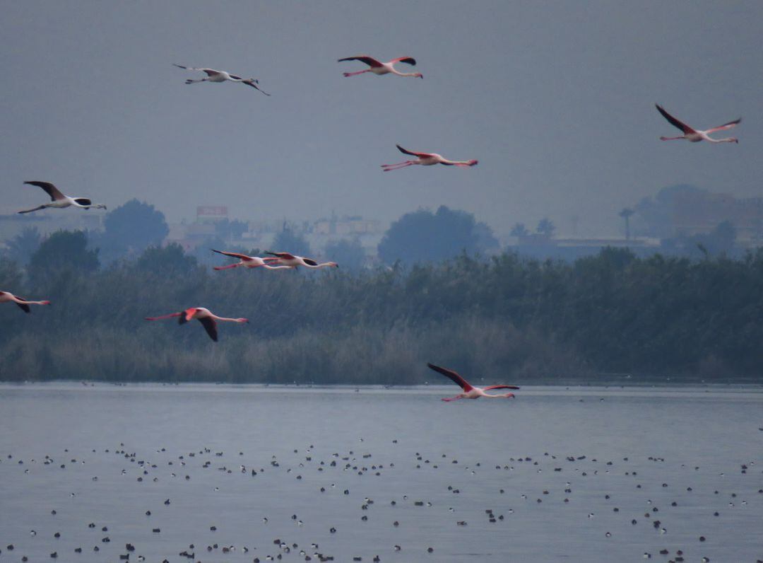 Parque Natural del Hondo