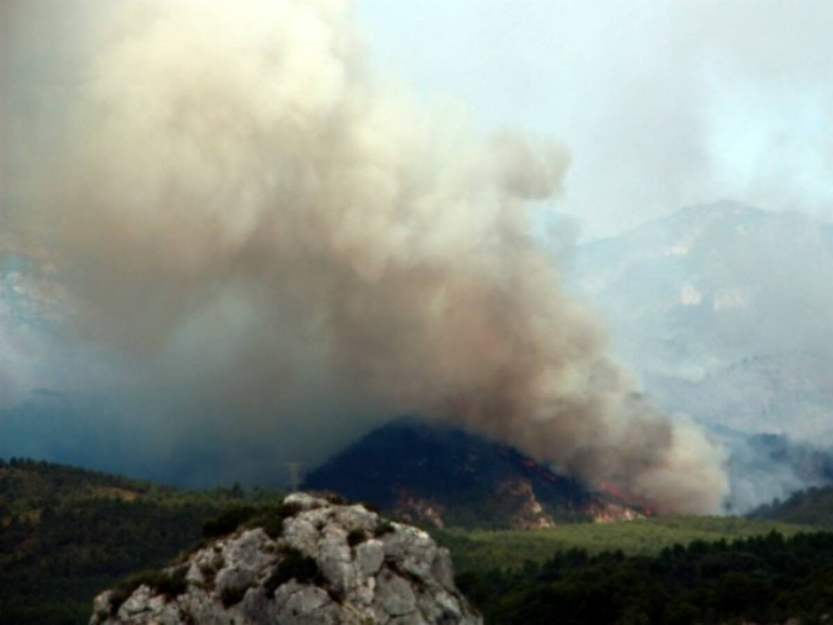 Extingit l'incendi forestal de Tivissa