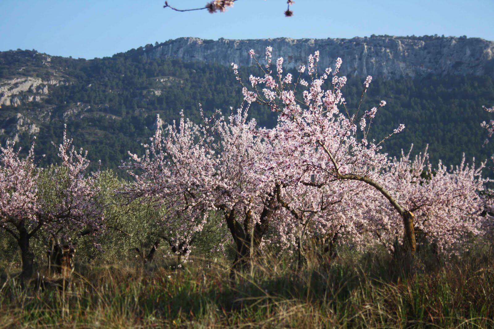 Imagen de Peñarrubia. Foto Villena Cuentame