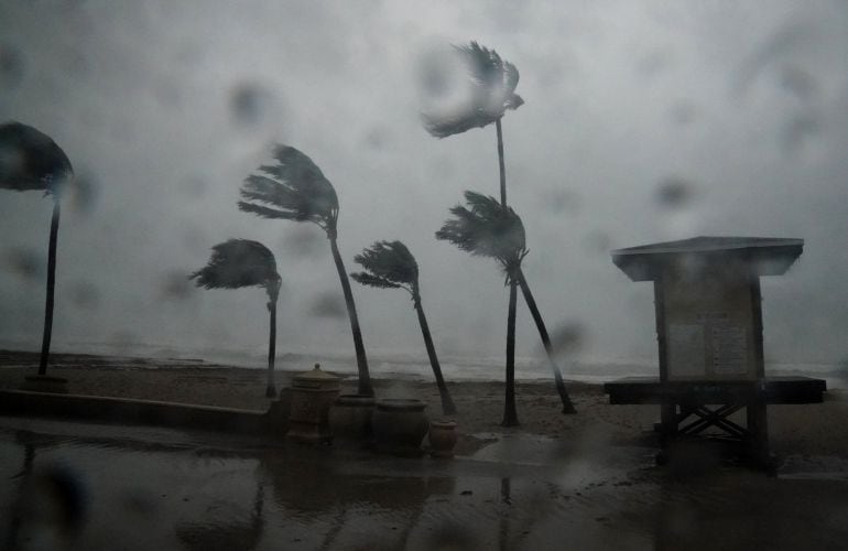 Los fuertes vientos sacuden el sur de Florida como consecuencia del huracán Irma.