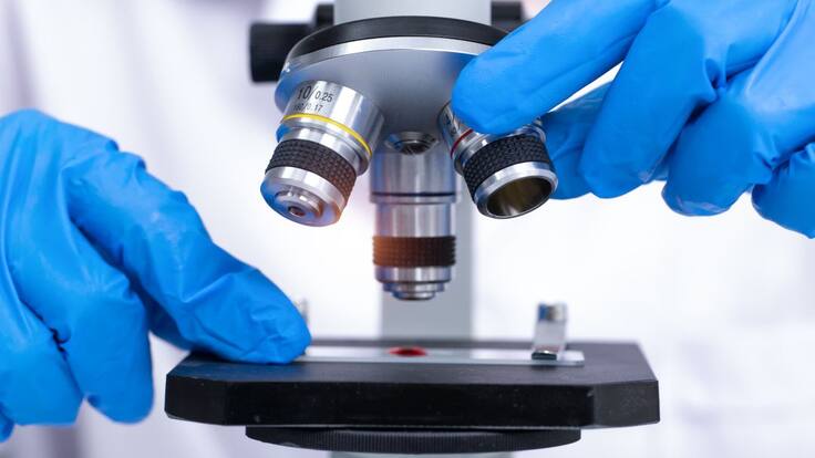 La llavor (19/09/2020)