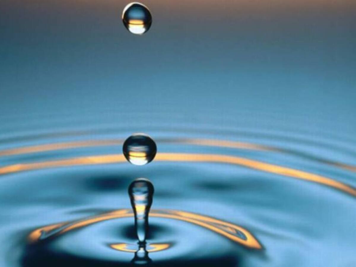 Quins són els problemes de l'aigua a Catalunya?