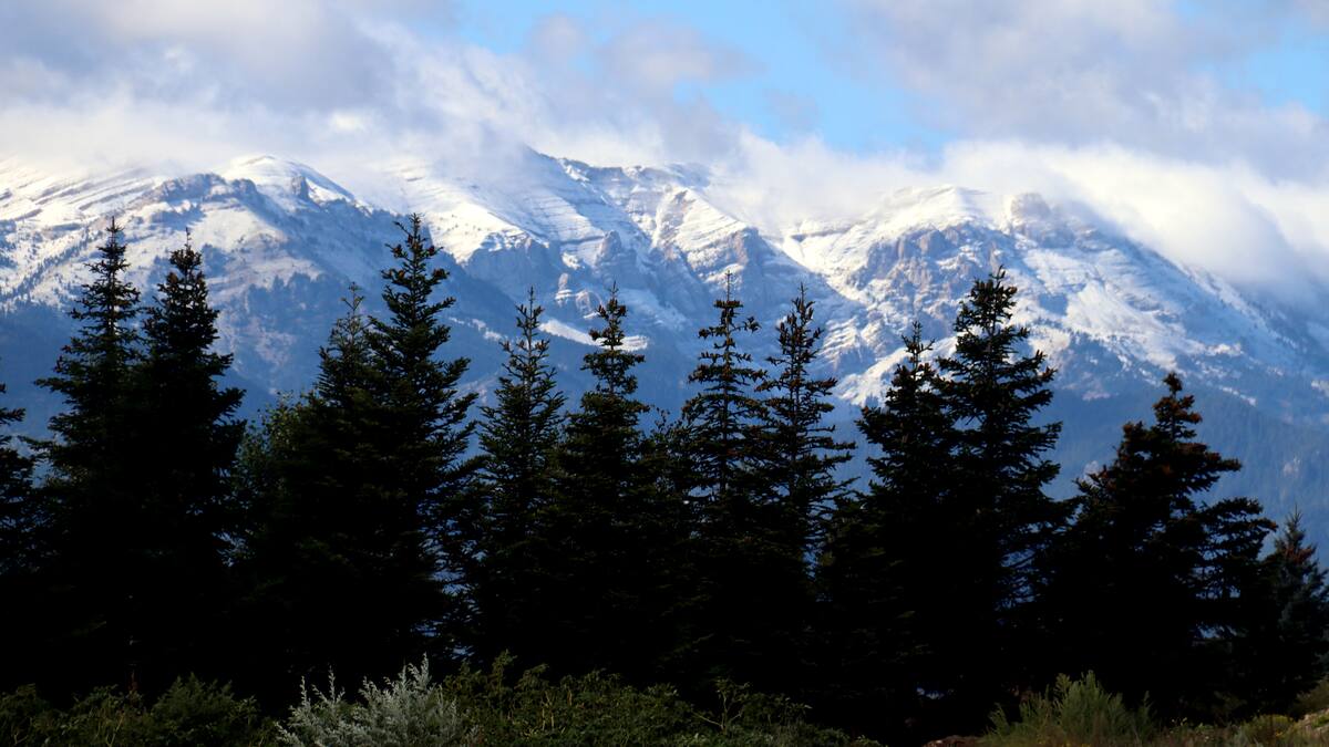 REPORTATGE. Primera nevada al Pirineu