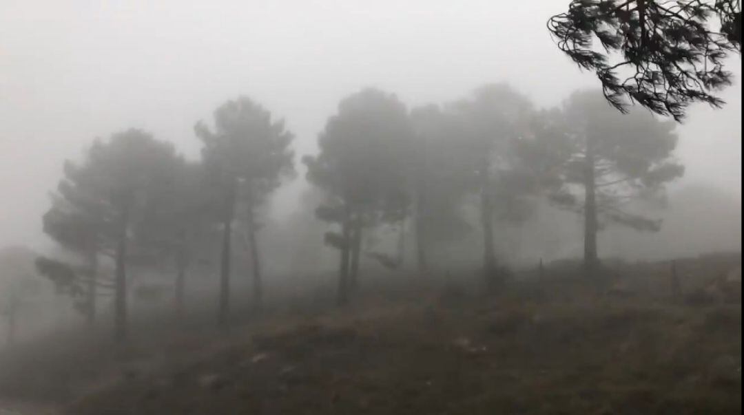 Puerto del Boyar en Grazalema