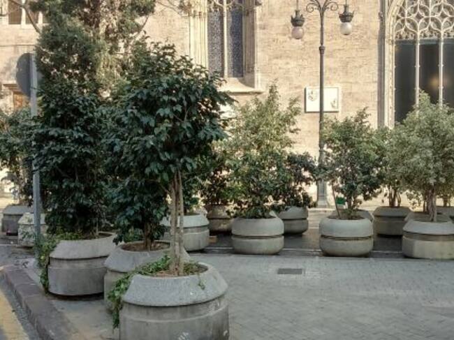 Maceteros frente a La Lonja