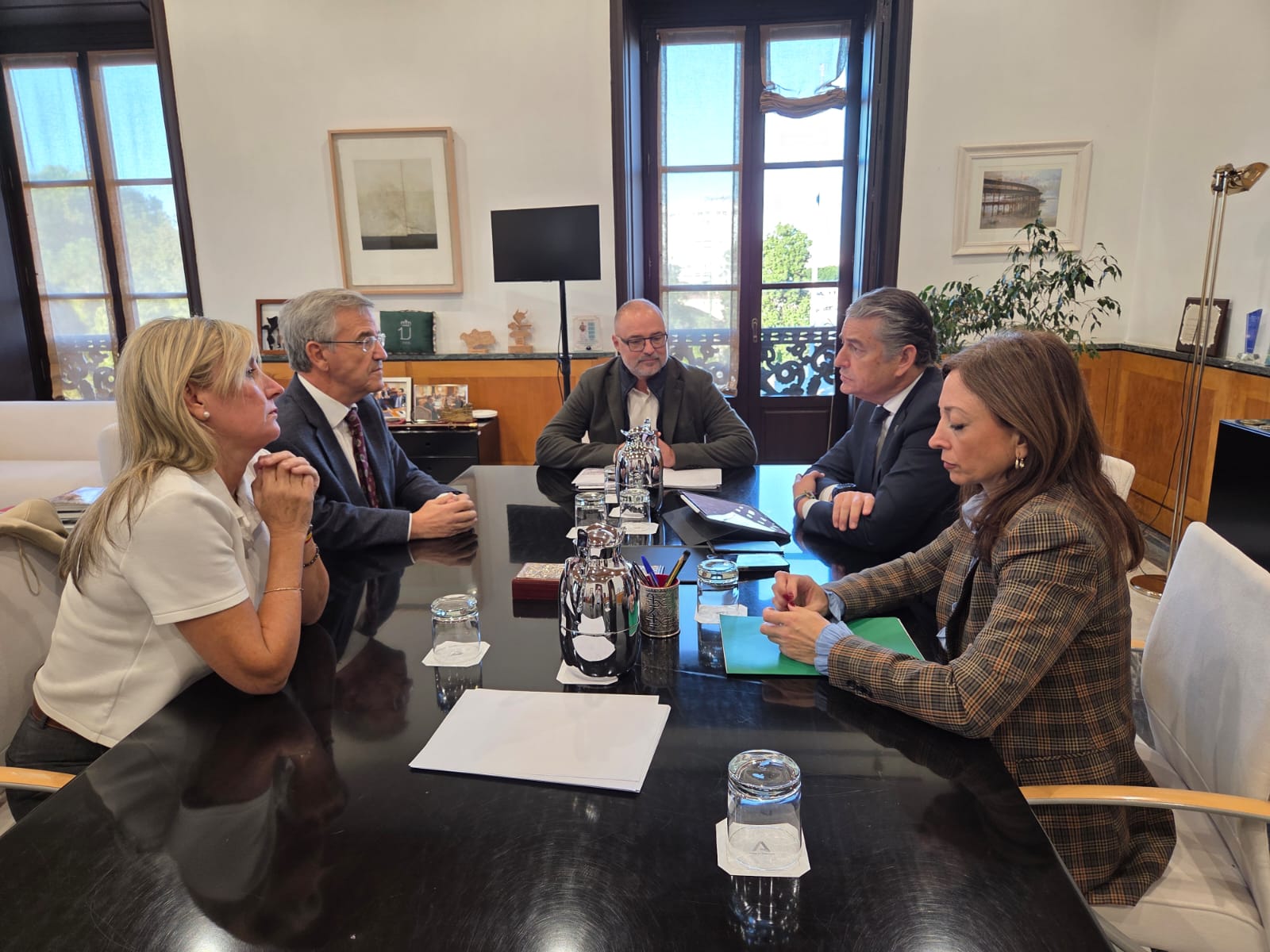 El consejero de Sanidad, Presidencia y Emergencias de la Junta, Antonio Sanz,  ha informado de ello tras la reunión mantenida con la delegada del Gobierno de  la Junta de Andalucía en Málaga, Patricia Navarro; el alcalde de Estepona, José  María García Urbano, y el director gerente del Hospital Universitario Costa del  Sol, Antonio Cansino, del que depende del hospital esteponero.