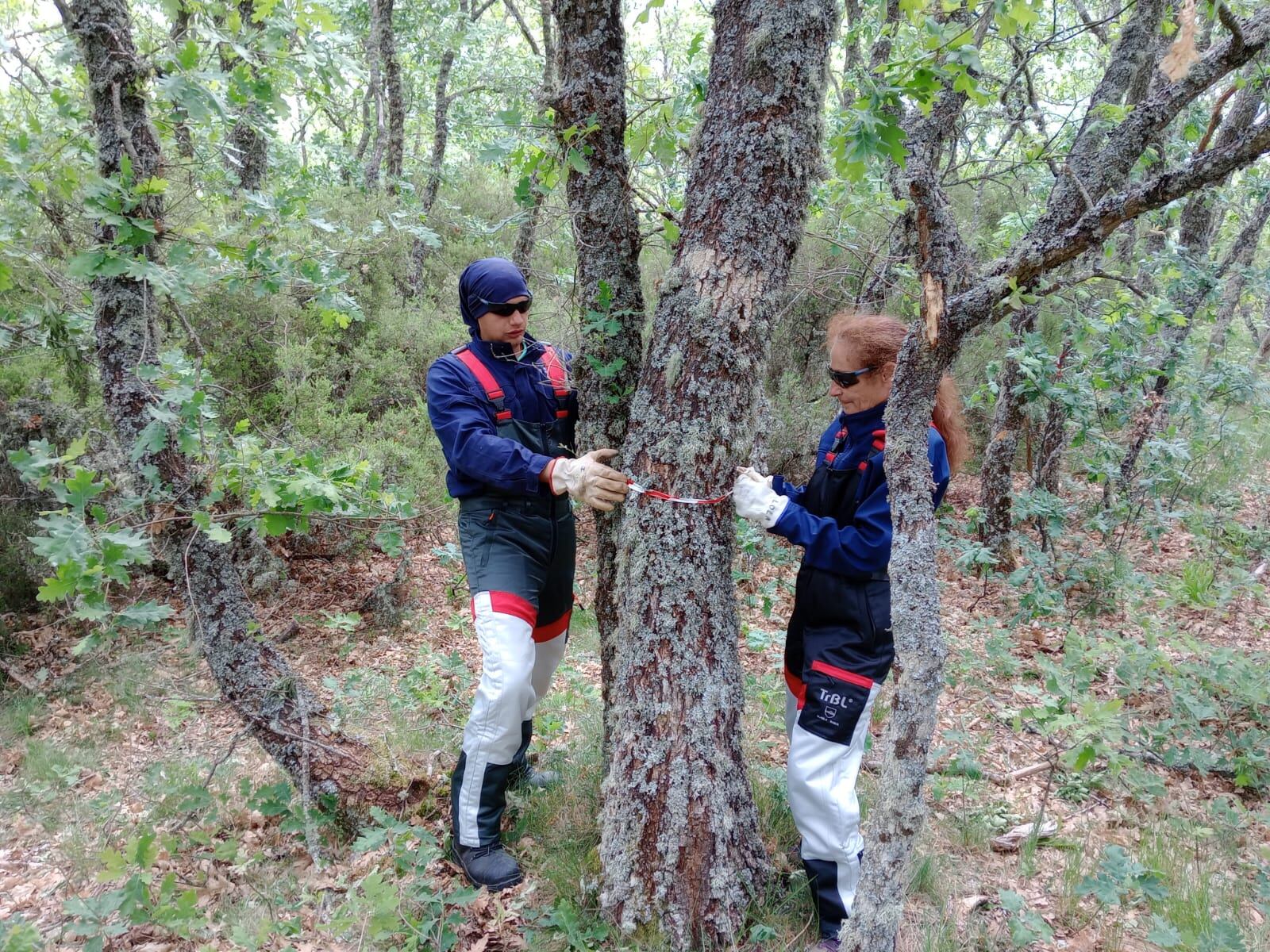 8 alumnos y dos monitores en el décimo programa mixto de formación y empleo “Tablares: explotación forestal” impulsado por la Diputación