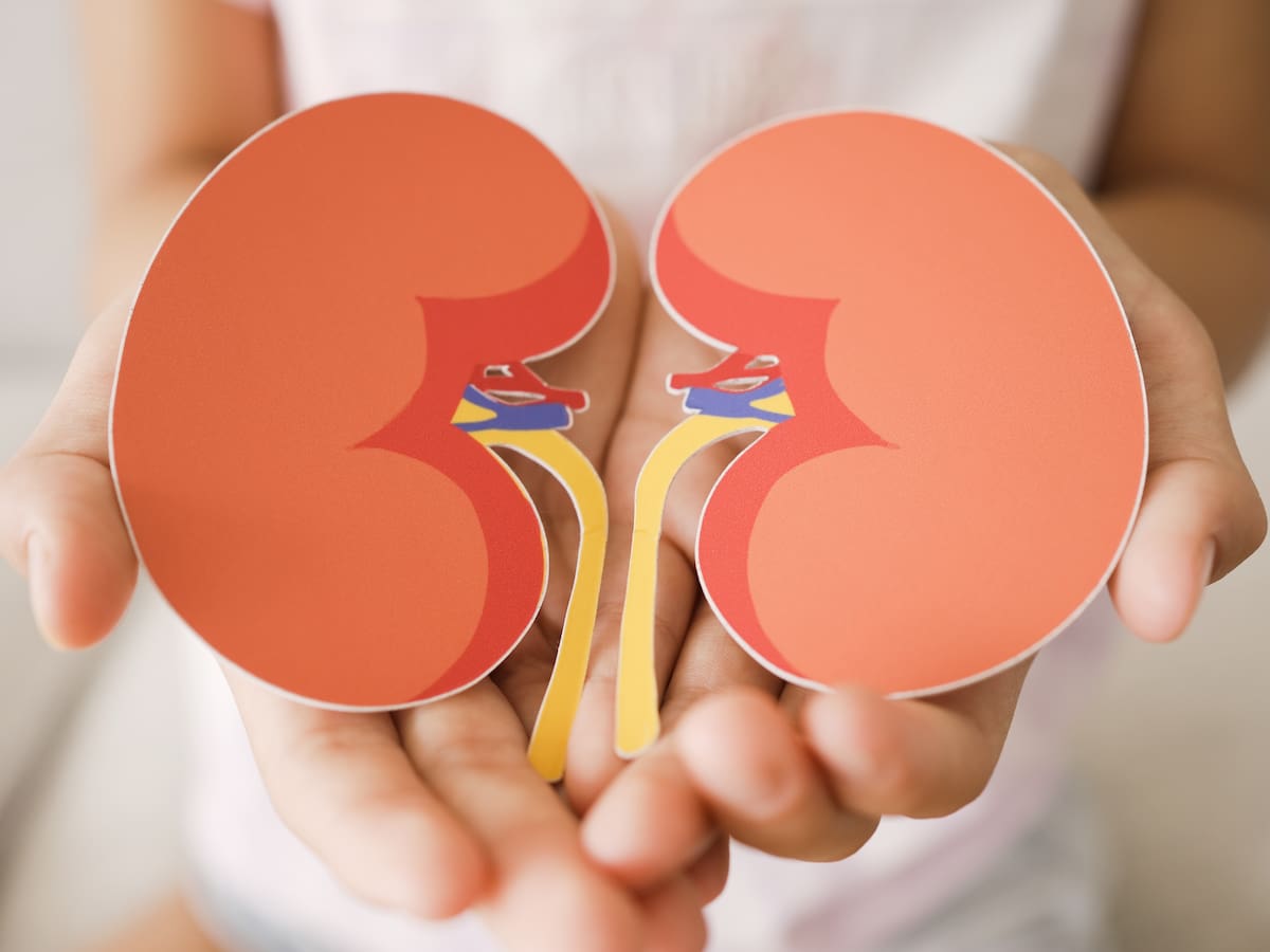 Trasplantament de ronyó: quan els fills donen vida als pares