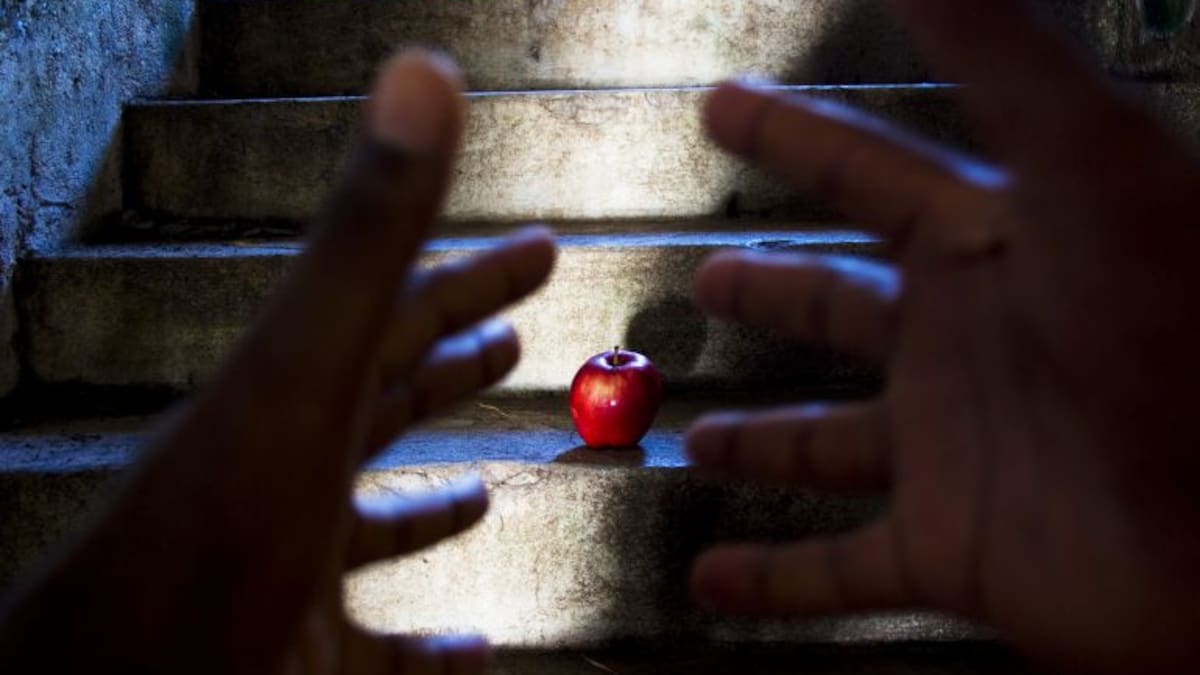 REPORTAJE: Los robos en el campo