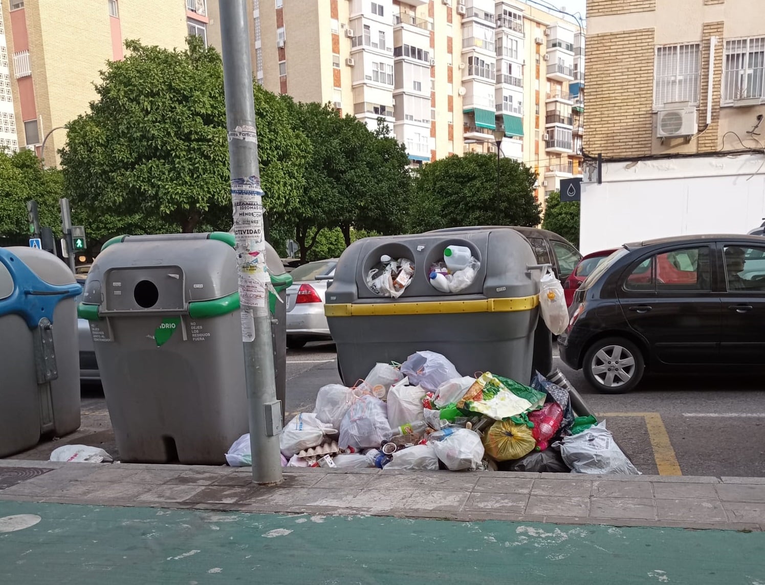 Imagen reciente de uno de los bidones de basura de la calle San Vicente de Paul, en Triana.