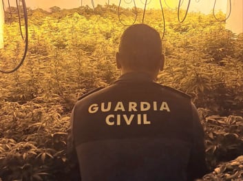 Un guardia civil en la plantación incautada en Bélmez de la Moraleda.