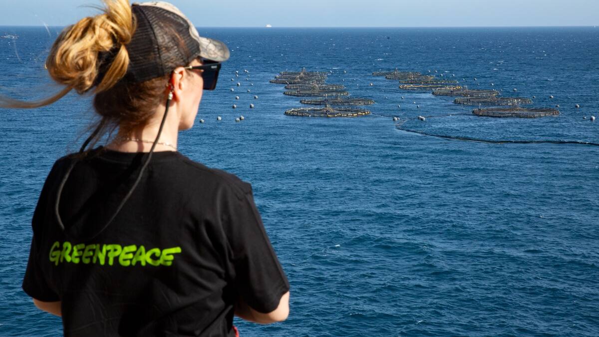 Espacio de Ecología: Mega piscifactorías, un problema ambiental y de salud