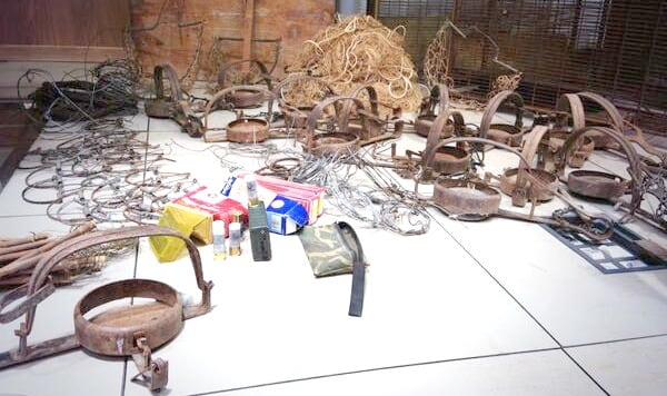 Piezas incautadas por la policía autonómica