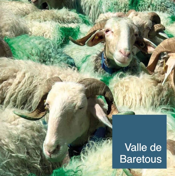 El bosque de la Braca es un remanso de naturaleza