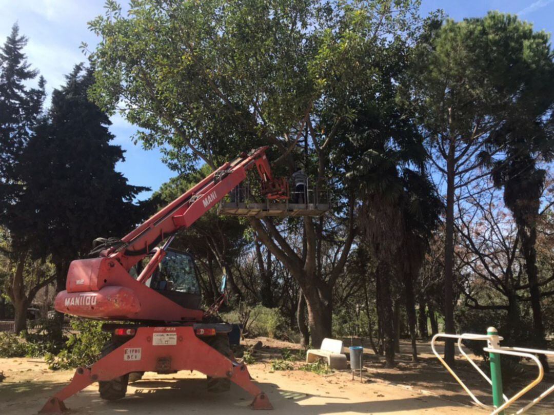 Trebujena lleva a cabo una actuación integral en el Parque de la Toya 