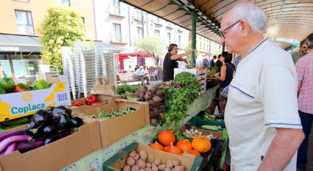 Ecomercado en la Plaza España