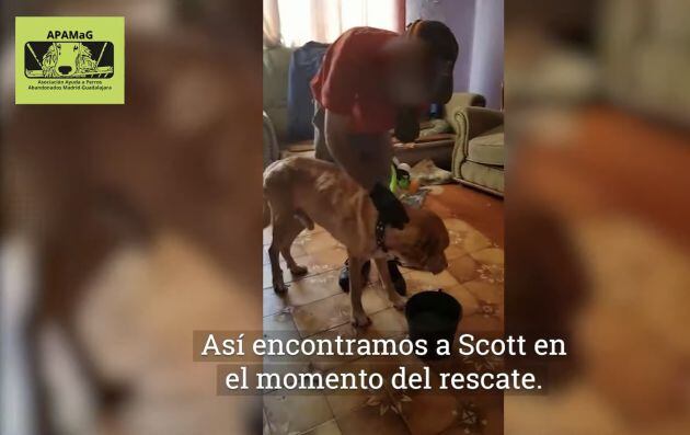 Rescate de Scott