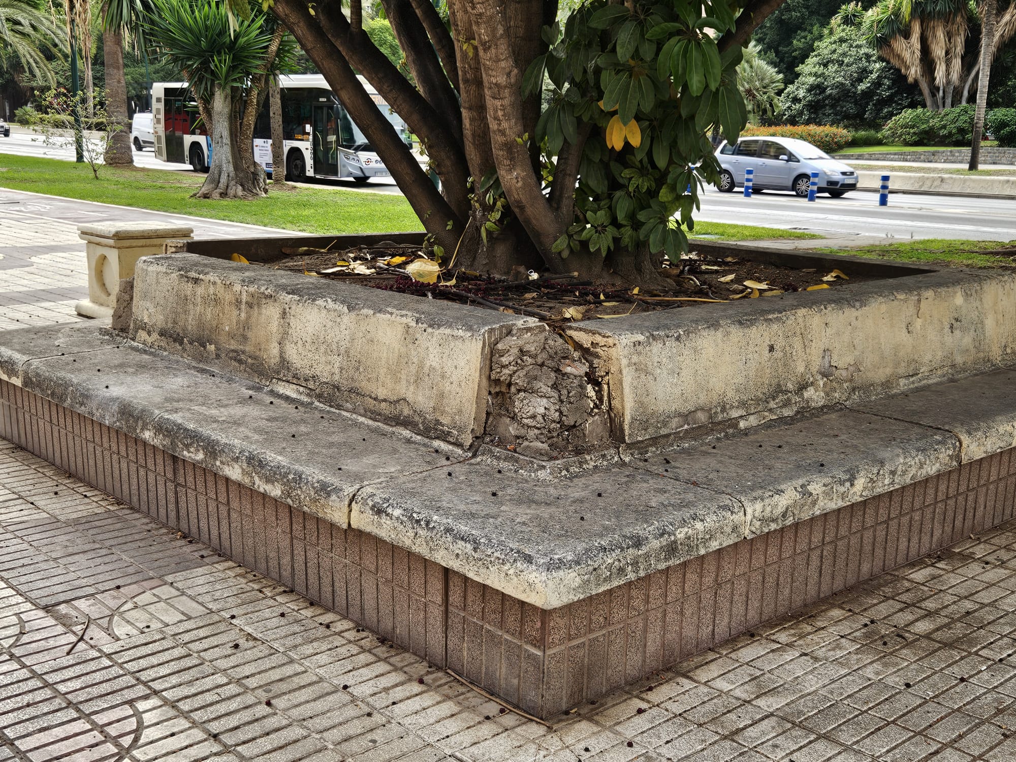 Estado de una de las jardineras de la Avenida de Andalucía